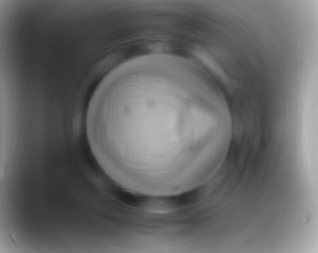 X0000088150163200706041401