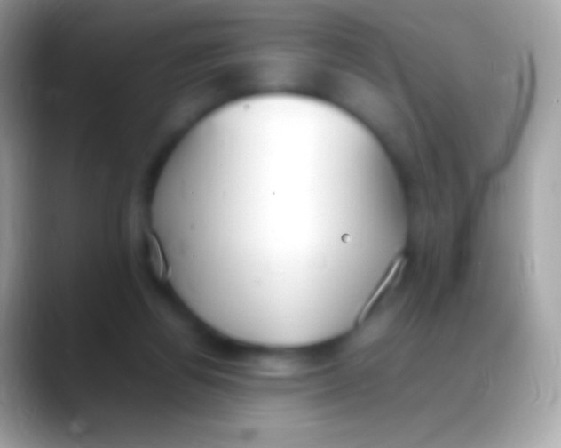 X0000088150164200706041401