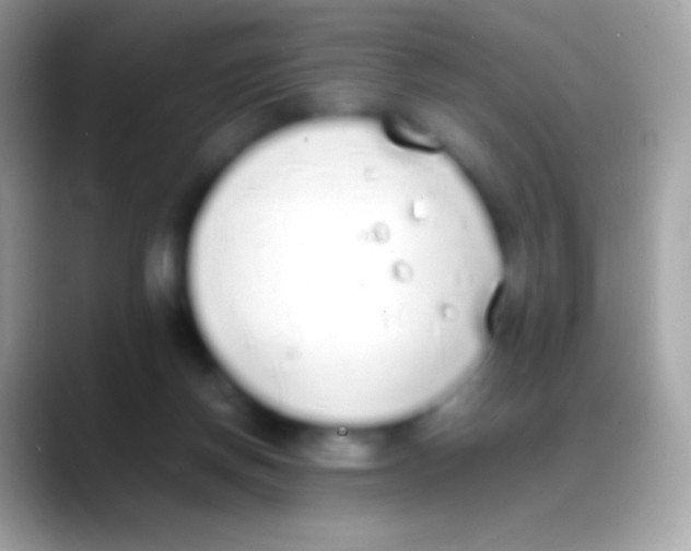 X0000088150166200706041401