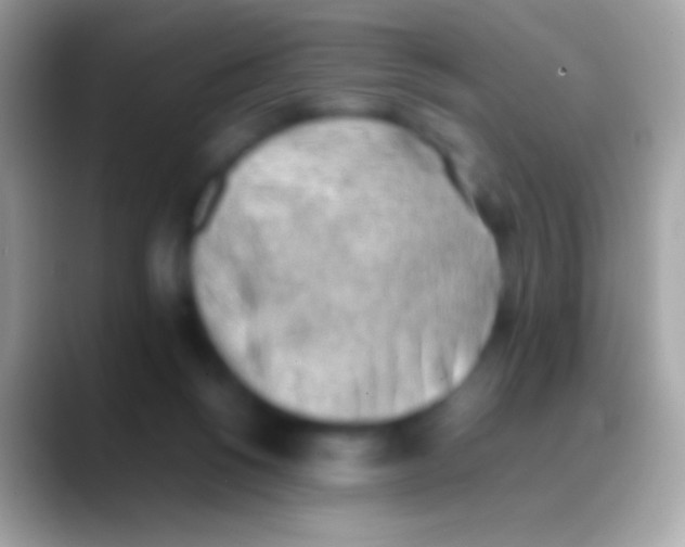 X0000088150168200706041401