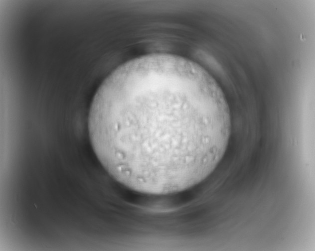 X0000088150169200706041401