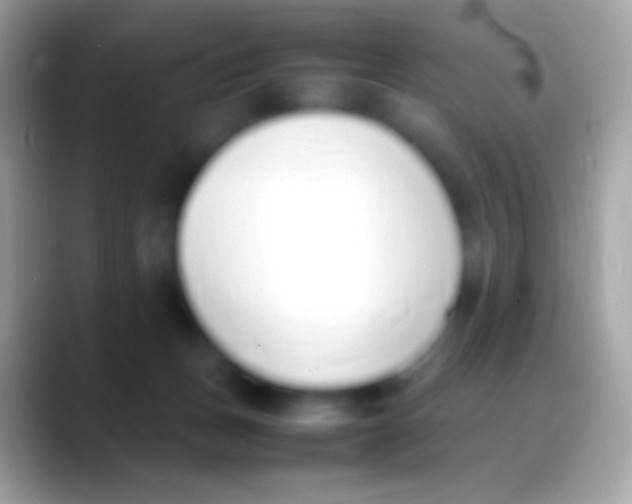 X0000088150175200706041401