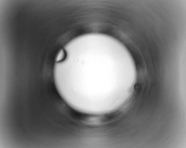 X0000088150178200706041401