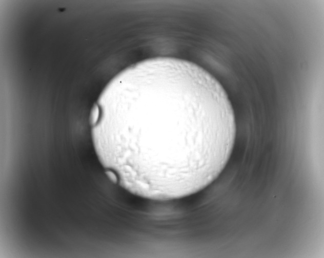 X0000088150181200706041401