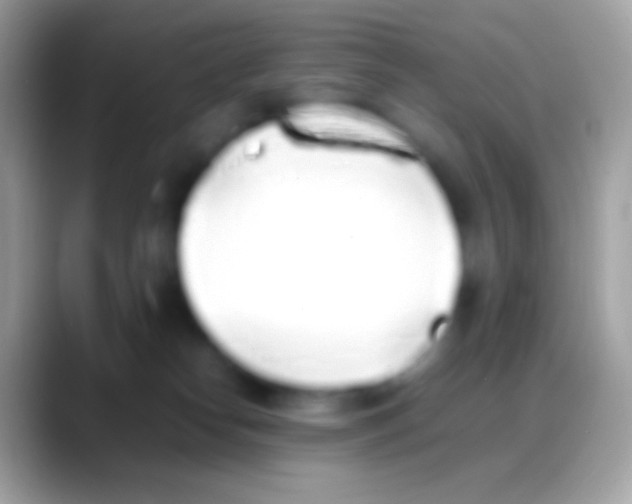 X0000088150182200706041401