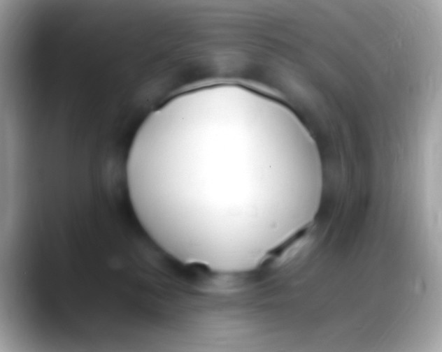 X0000088150184200706041401