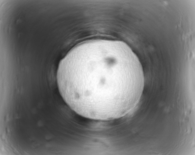 X0000088150186200706041401