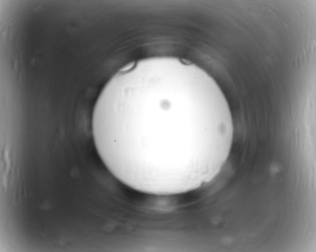 X0000088150187200706041401