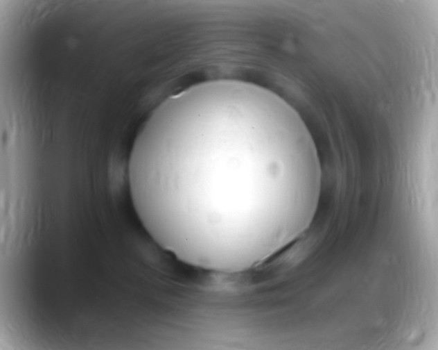 X0000088150188200706041401