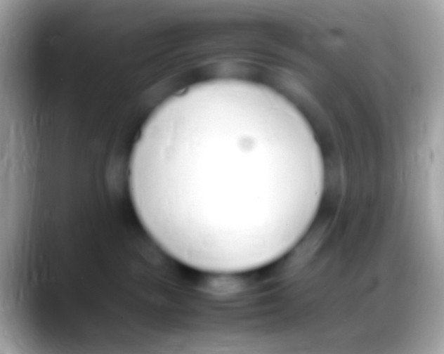 X0000088150189200706041401