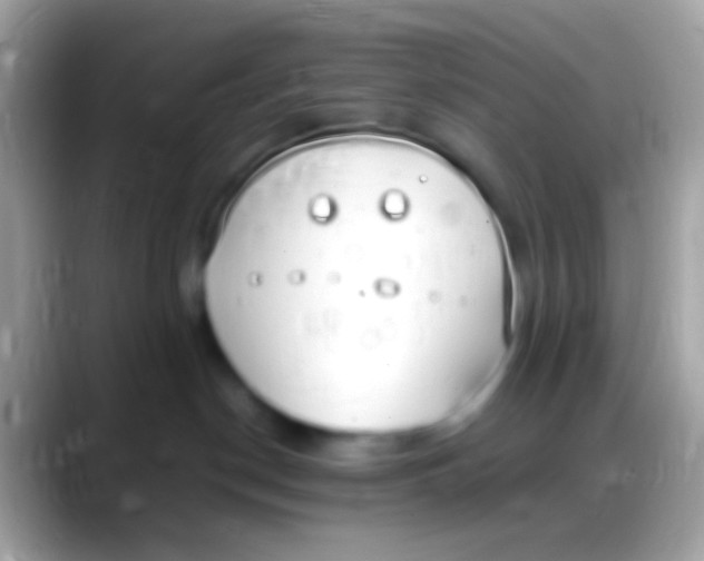 X0000088150190200706041401