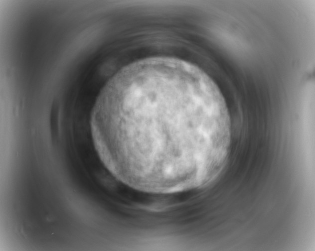 X0000088150191200706041401