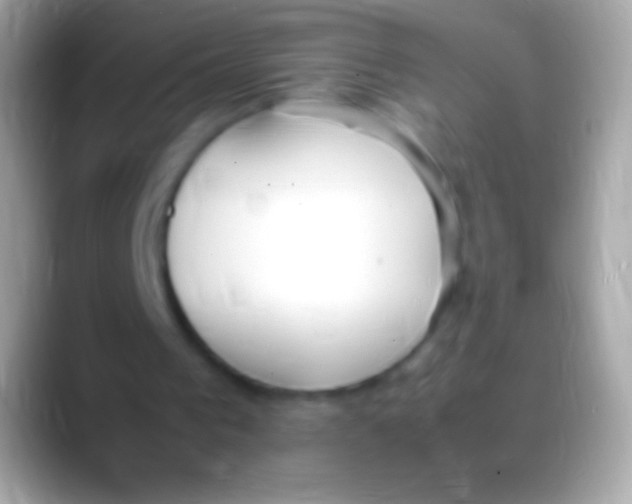 X0000088150193200706041401