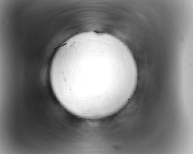 X0000088150194200706041401