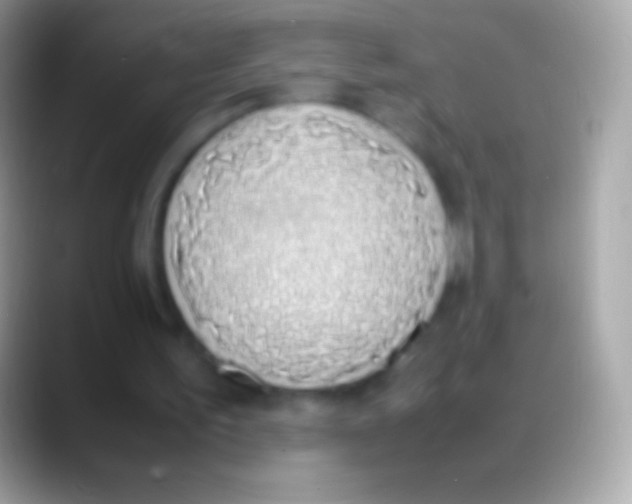 X0000088150195200706041401