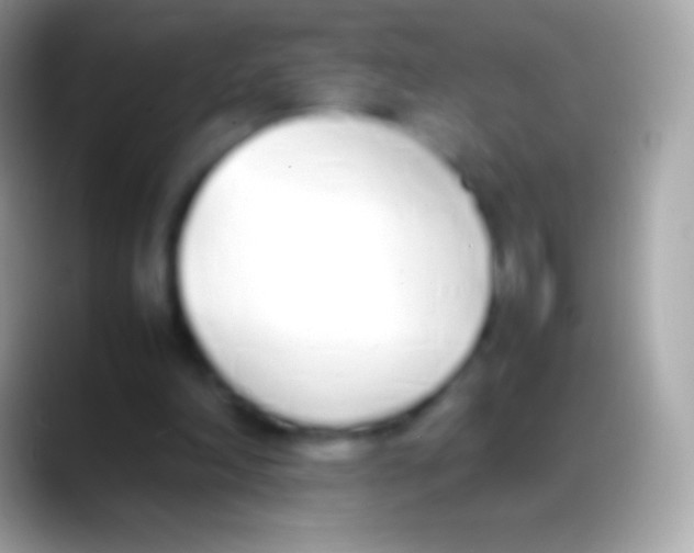 X0000088150198200706041401