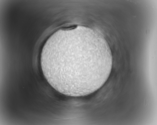 X0000088150199200706041401