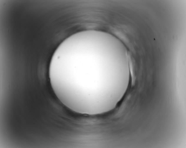 X0000088150201200706041401