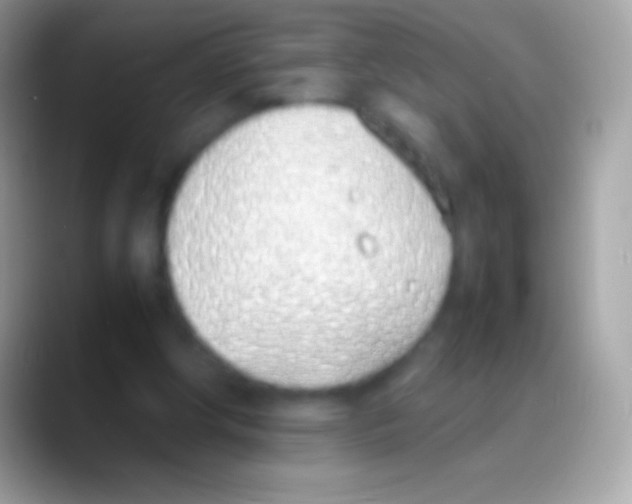 X0000088150202200706041401