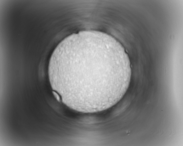 X0000088150203200706041401