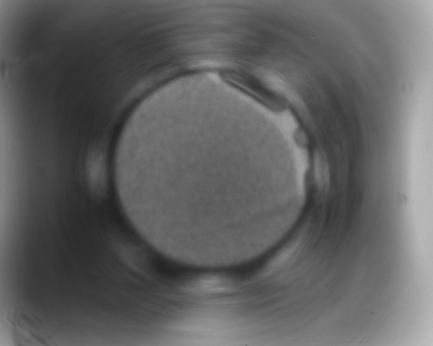 X0000088150204200706041401