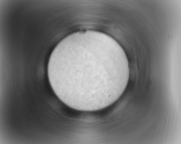 X0000088150207200706041401