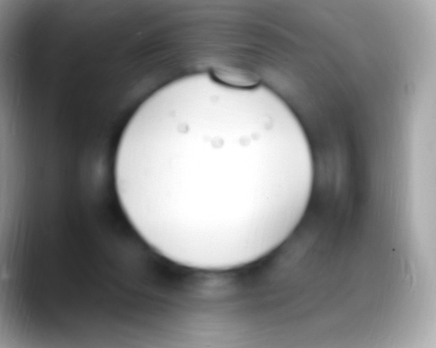 X0000088150208200706041401