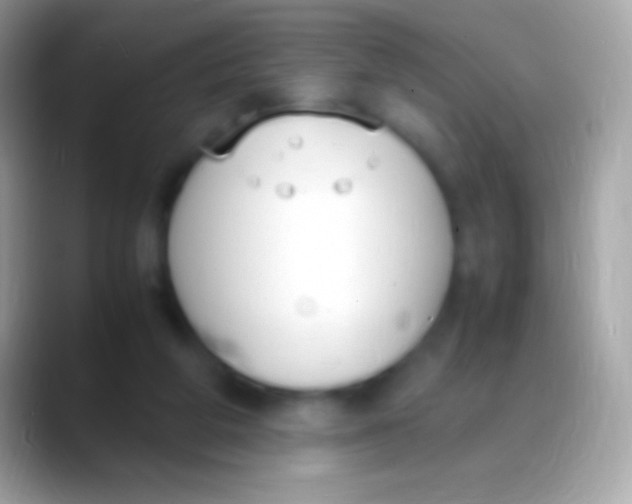 X0000088150210200706041401