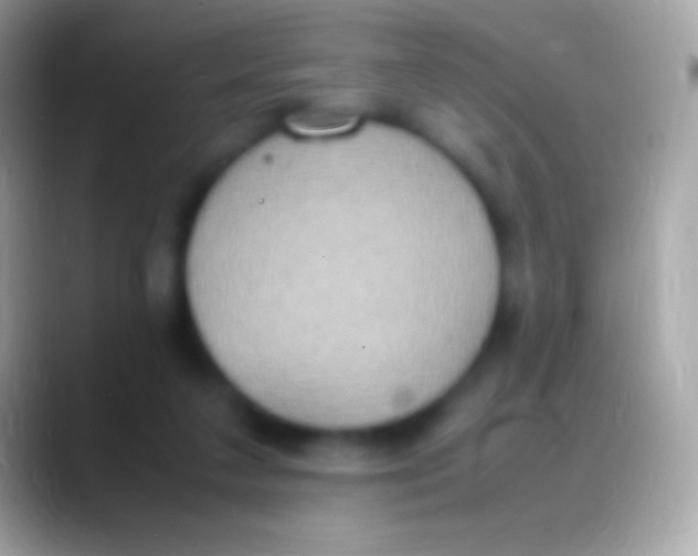 X0000088150211200706041401