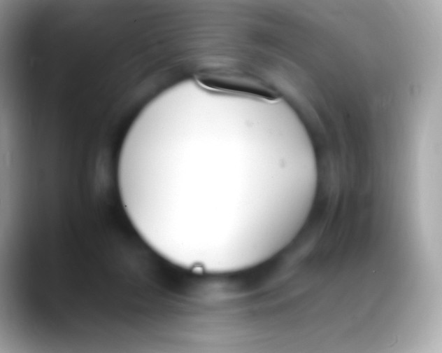 X0000088150212200706041401