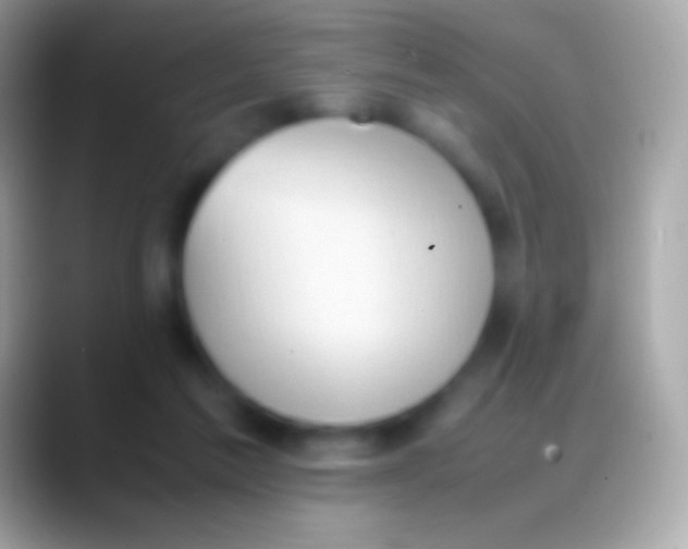 X0000088150213200706041401