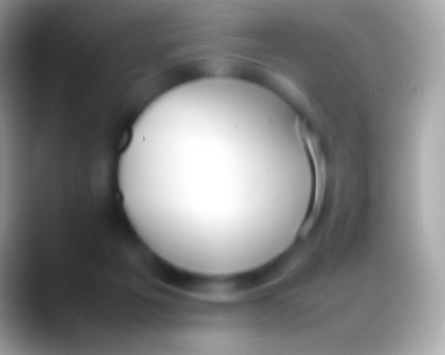 X0000088150217200706041400