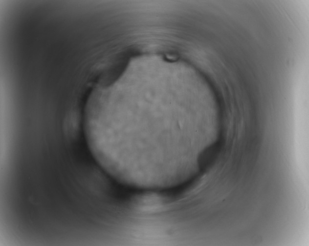 X0000088150219200706041400