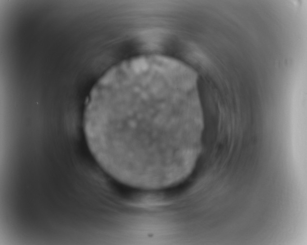 X0000088150223200706041400