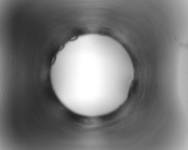 X0000088150225200706041400