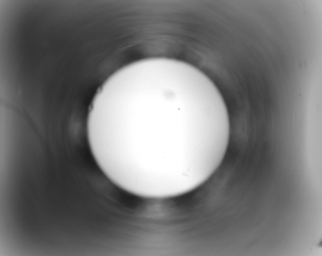 X0000088150226200706041400