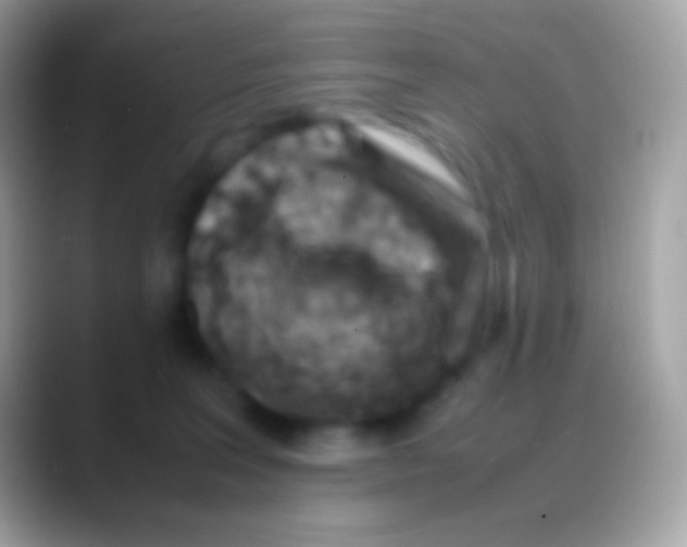 X0000088150227200706041400