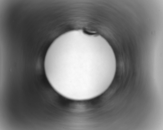 X0000088150228200706041400