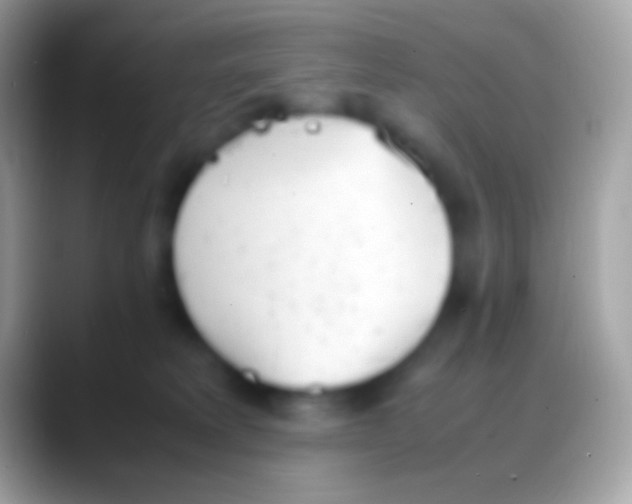 X0000088150229200706041400