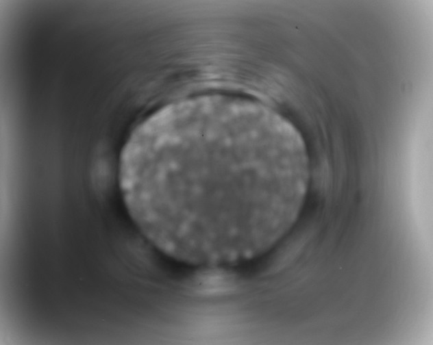 X0000088150231200706041400