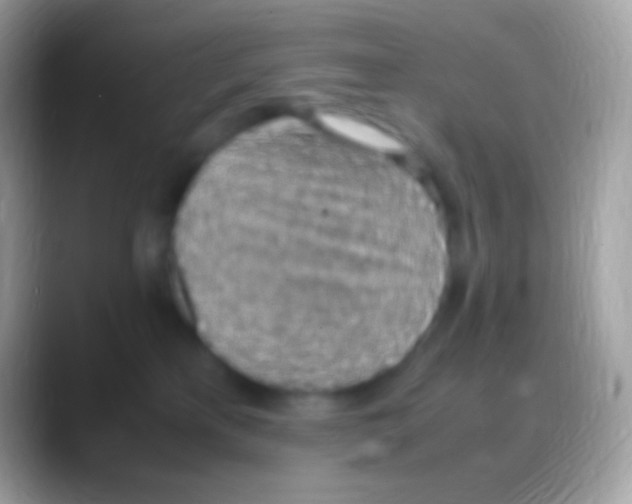 X0000088150233200706041400