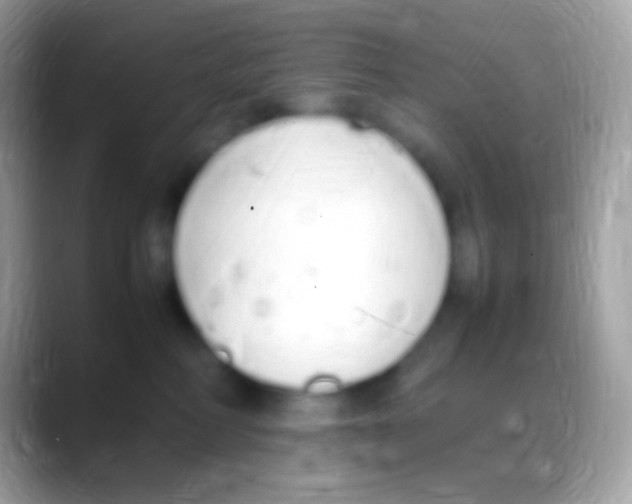 X0000088150234200706041400