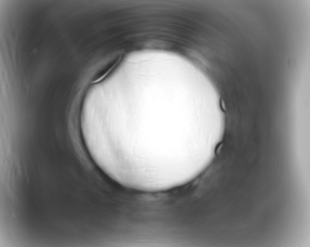 X0000088150241200706041400