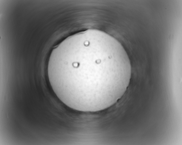 X0000088150242200706041400