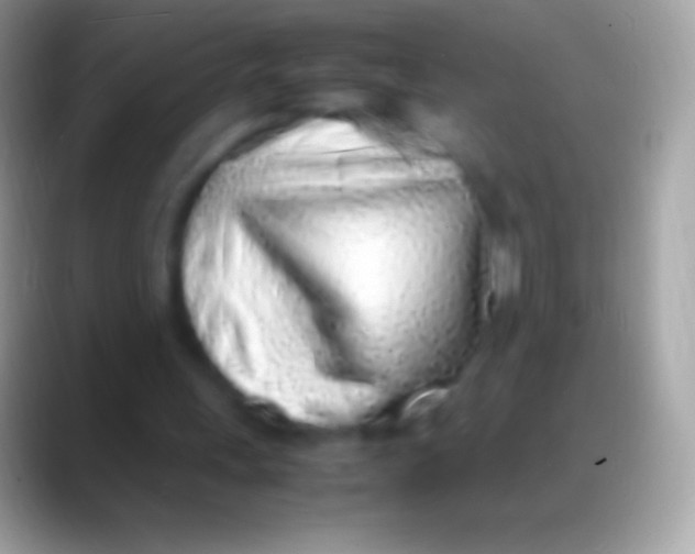 X0000088150243200706041400