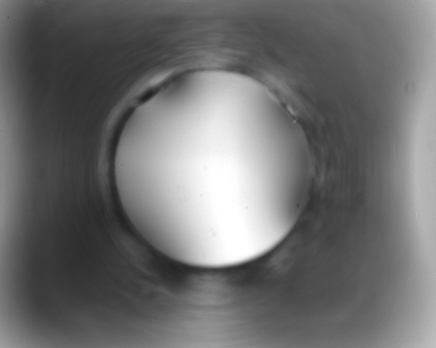 X0000088150244200706041400