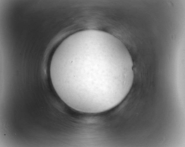 X0000088150246200706041400