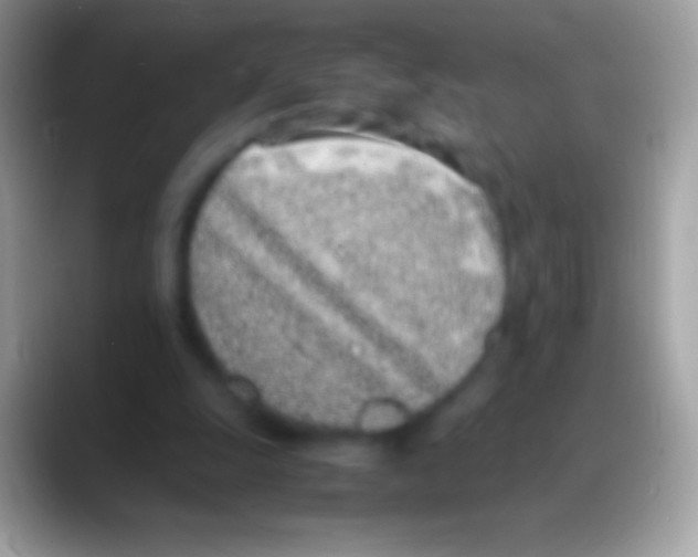 X0000088150247200706041400