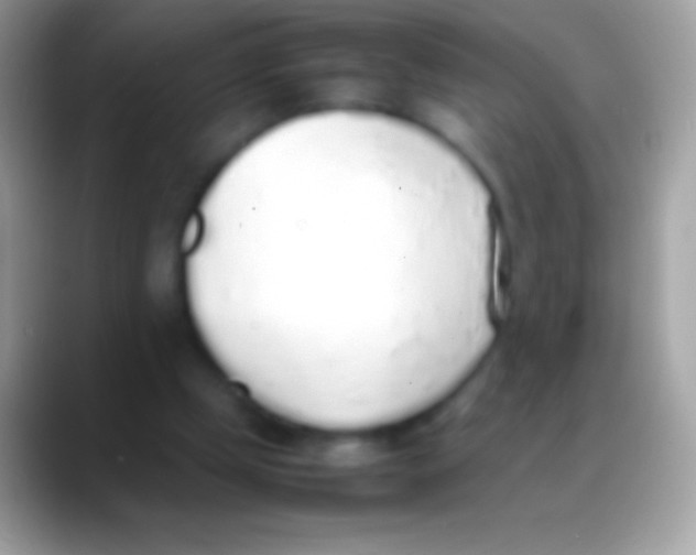 X0000088150249200706041400