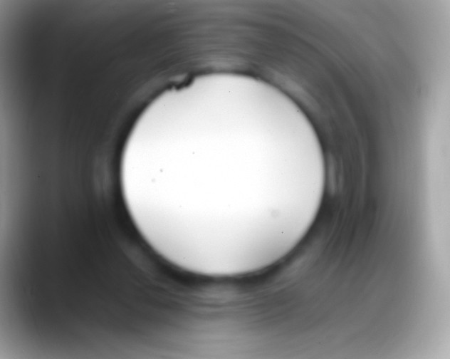 X0000088150252200706041400